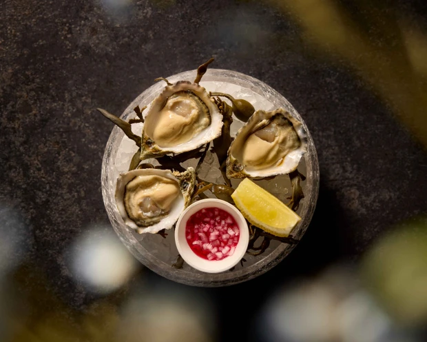 TMN Oesters (2)