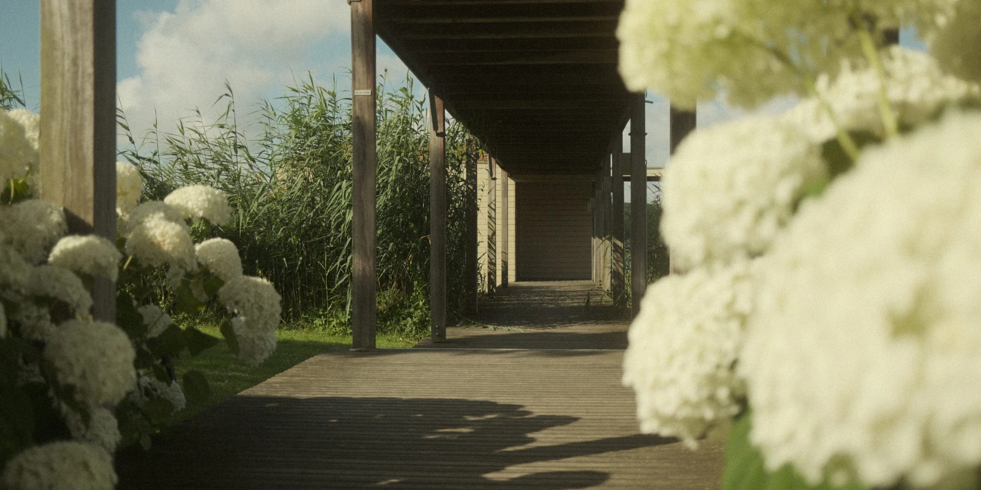Thermen Maarssen  tuin (6)