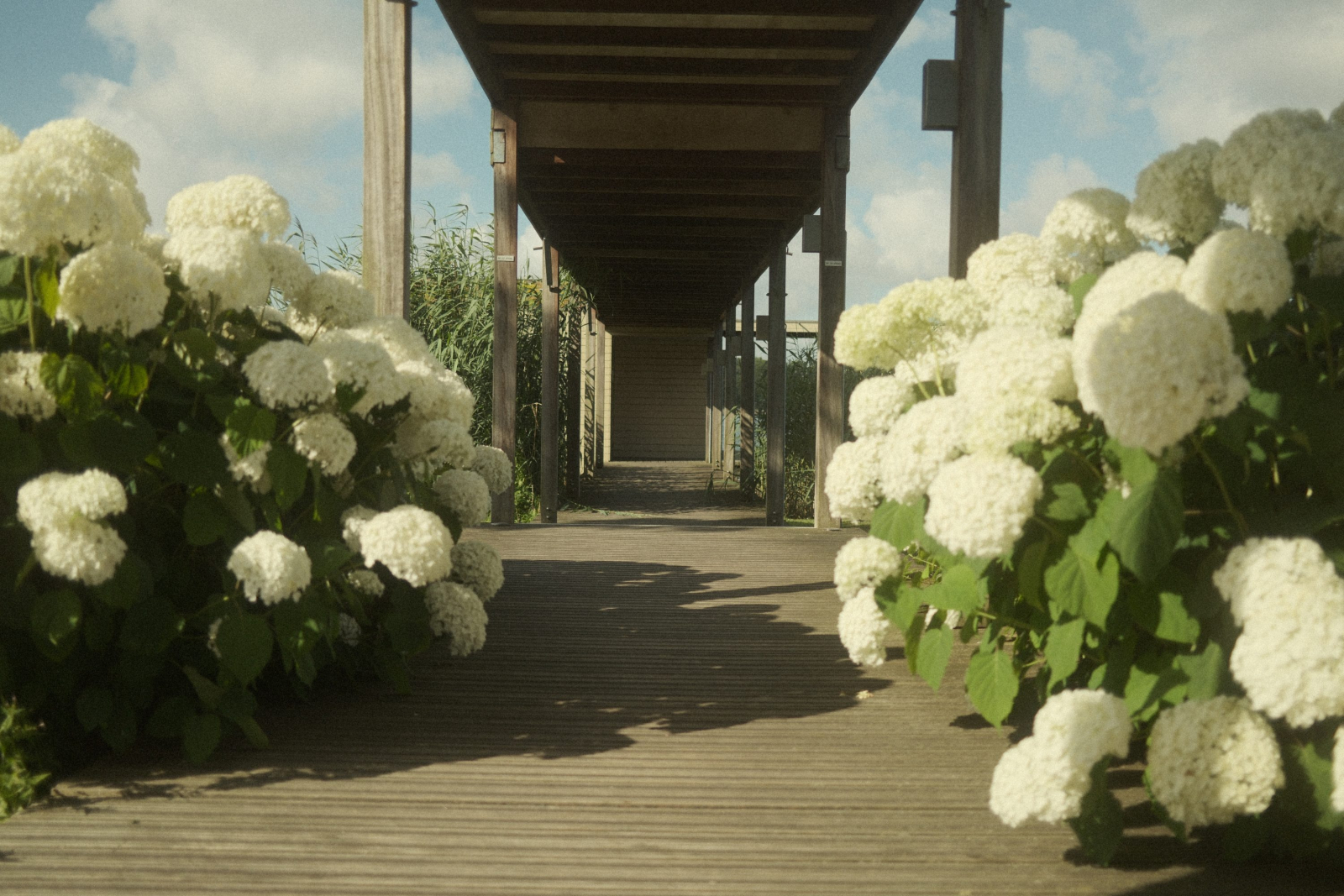 Thermen Maarssen  tuin (9)